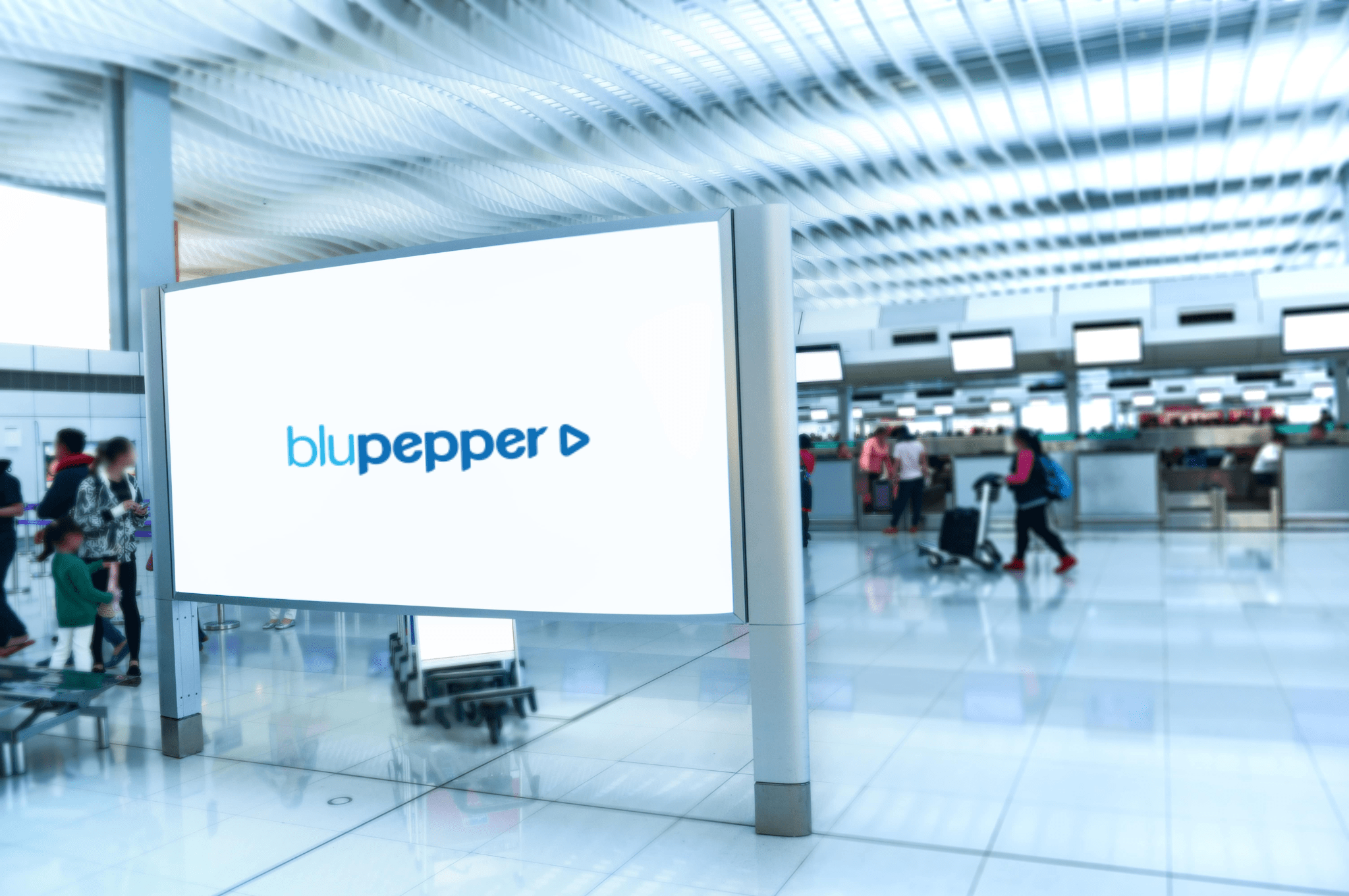 blupepper video wall